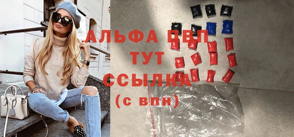 твердый Бородино