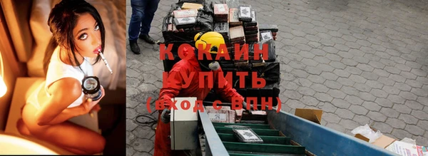 твердый Бородино