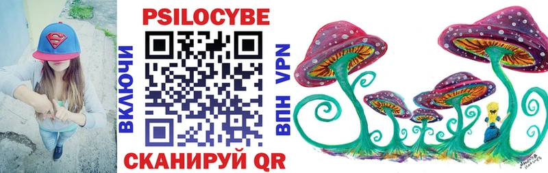 Галлюциногенные грибы Psilocybe где купить наркоту Гдов